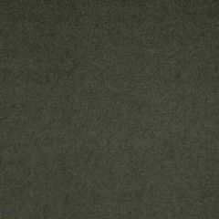 Lee Jofa 2006229-3030 Flannelsuede-Quarry Decor Upholstery Fabric