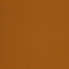Robert Allen Contract Vinetta-Honey 215501 Decor Multi-Purpose Fabric