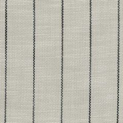 Perennials Rough Outline White Sands 875-270 The Usual Suspects Collection Upholstery Fabric