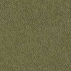 F. Schumacher Promessa Moss 363-4514 Ultraleather Collection