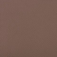 Aura Retreat Sable SCL-041 Upholstery Fabric