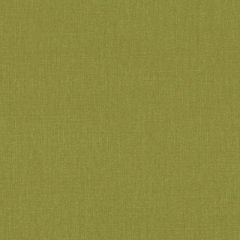 Duralee Ivy 32770-341 Decor Fabric