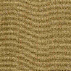 Robert Allen Contract Brite Outlook Dune 224173 Decorative Dim-Out Collection Drapery Fabric