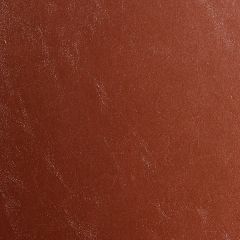 ABBEYSHEA Glaze 015 Sienna Indoor Upholstery Fabric