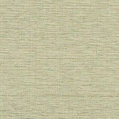Duralee Wheat 89197-152 Decor Fabric