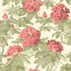 Cole and Son Bourlie Coral 99-4020 Wall Covering