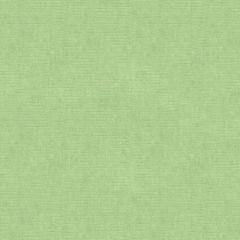 Kravet Design Green 33125-23 Indoor Upholstery Fabric