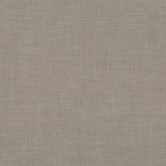 Baker Lifestyle Fernshaw Platinum PF50410-905 Notebooks Collection Indoor Upholstery Fabric