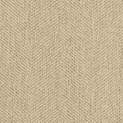 Kravet Smart Crossroads Muslin 30954-1116 Guaranteed in Stock Indoor Upholstery Fabric