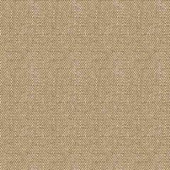 Kravet Smart Beige 33349-106 Guaranteed in Stock Indoor Upholstery Fabric