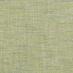 Duralee Aqua/Green 36246-601 Decor Fabric