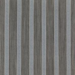 Threads Rexford Indigo Great Stripes Collection Multipurpose Fabric