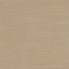 Perennials Rough 'n Rowdy Paper Bag 955-25 Beyond the Bend Collection Upholstery Fabric