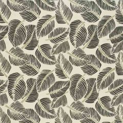F Schumacher Costa Rica Faded Black 176193 Good Vibrations Collection Indoor Upholstery Fabric
