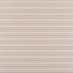 Scalamandre Bella Dura Steps Beach Stone WR 00062661 Elements Collection Contract Upholstery Fabric