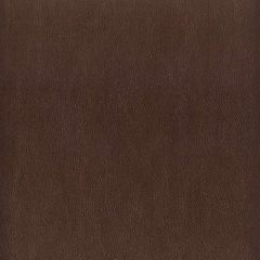 Stout Elbert Mahogany 4 Leather Looks III Performance Collection Indoor Upholstery Fabric