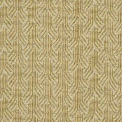 Robert Allen Erte Pearl 176319 Indoor Upholstery Fabric
