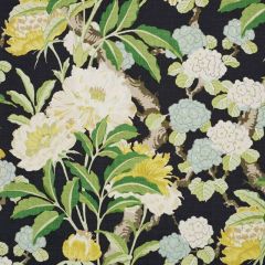 F Schumacher Enchanted Garden Black 177391 Schumacher Classics Collection Indoor Upholstery Fabric