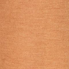 Robert Allen Seacroft-Russet 224910- Reversible Multi-Purpose Fabric