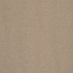Robert Allen Contract Aubrey Solid Stone 240217 Faux Leather Collection Indoor Upholstery Fabric
