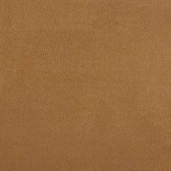 Kravet Design Gold Sparta 4 Indoor Upholstery Fabric