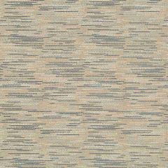 Robert Allen Dotty Lane Denim 259114 Nomadic Color Collection Indoor Upholstery Fabric