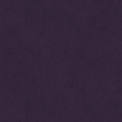 Kravet Design Purple 33125-1010 Indoor Upholstery Fabric