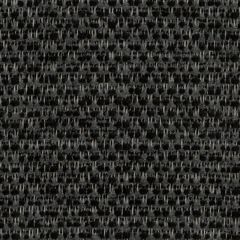 Perennials Wild and Wooly Anthracite 976-204 Rodeo Drive Collection Upholstery Fabric