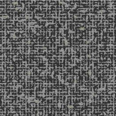 Outdura Static Coal 8836 Ovation 3 Collection - Earthy Balance Upholstery Fabric