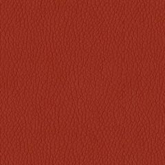 ABBEYSHEA Turner 14 Rust Indoor Upholstery Fabric