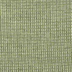 Gaston Y Daniela Out Verde GDT5510-6 Gaston Libreria Collection Upholstery Fabric