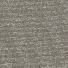 Perennials Touchy Feely Nickel 975-296 Beyond the Bend Collection Upholstery Fabric