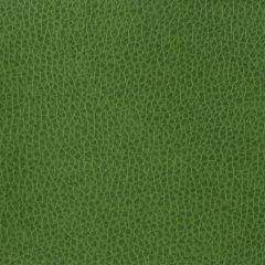 Kravet Matter Green 3 Indoor Upholstery Fabric