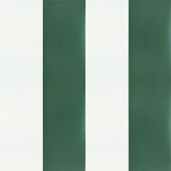 Weblon Coastline Plus Glade Green/White CP-2761 Awning Fabric