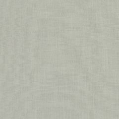 Clarke and Clarke Hudson Linen F1076-18 Multipurpose Fabric