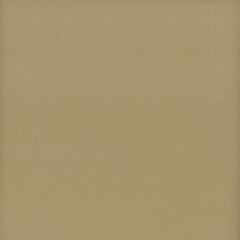Stout Lodge Khaki 6 Leather Looks III Performance Collection Indoor Upholstery Fabric