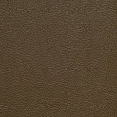 Aura Retreat Riverbed SCL-219 Upholstery Fabric