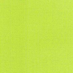 SolaMesh Lime Green 865088 118 inch Shade / Mesh Fabric