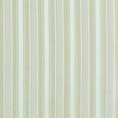 Duralee Mint 32723-405 Decor Fabric
