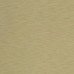 Robert Allen Contract Calm Waters Melon 224628 Decorative Dim-Out Collection Drapery Fabric