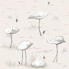 Cole and Son Flamingos Charcoal / White 95-8046 Contemporary Restyled Collection Wall Covering