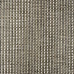 Phifertex Turquesa DB1 54-inch Cane Wicker Collection Sling Upholstery Fabric