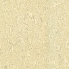 Kravet Basics Hart Shell 33414-1 Waterside Collection by Jeffrey Alan Marks Indoor Upholstery Fabric