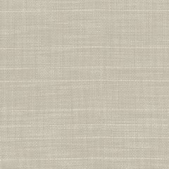Perennials in the Rough Dove 957-102 Rose Tarlow Melrose House Collection Upholstery Fabric