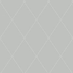 Cole and Son Large Georgian Rope Trellis Grey 100-13062 Archive Anthology Collection Wall Covering