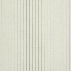 Robert Allen Aimee Stripe Spring Grass 240738 Botanical Color Collection Indoor Upholstery Fabric