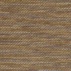 Robert Allen Contract South Coast Mustard 216531 Indoor Upholstery Fabric