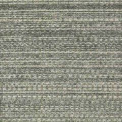 Stout Archer Iron 1 Shine on Performance Collection Indoor/Outdoor Upholstery Fabric