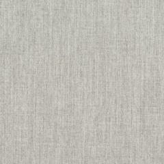 Remnant - Sunbrella RAIN Canvas Granite 5402-0000 77 Waterproof Upholstery Fabric (1 yard piece)