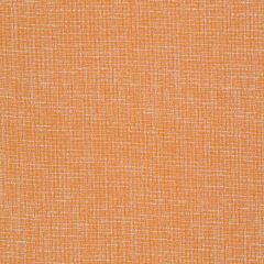 Robert Allen Rustic Tweed-Sunrise 246747 Fabric